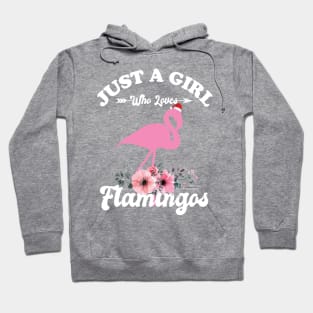 Just A Girl Who Loves Flamingos Hoodie